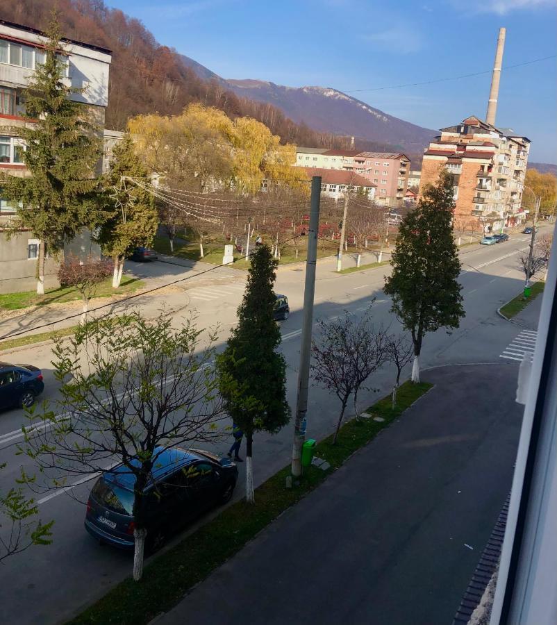 La Symo Apartament Straja Lupeni Lupeni  Extérieur photo