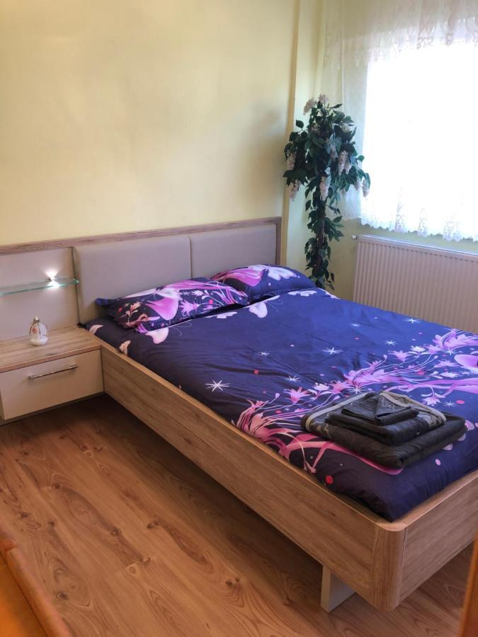 La Symo Apartament Straja Lupeni Lupeni  Extérieur photo