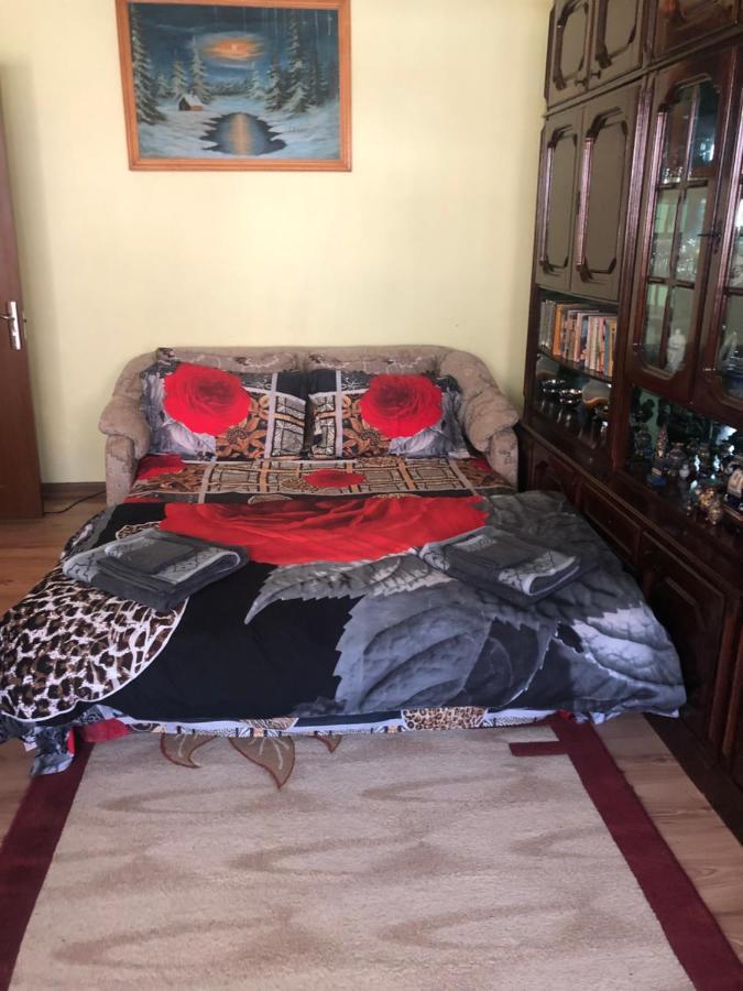 La Symo Apartament Straja Lupeni Lupeni  Extérieur photo