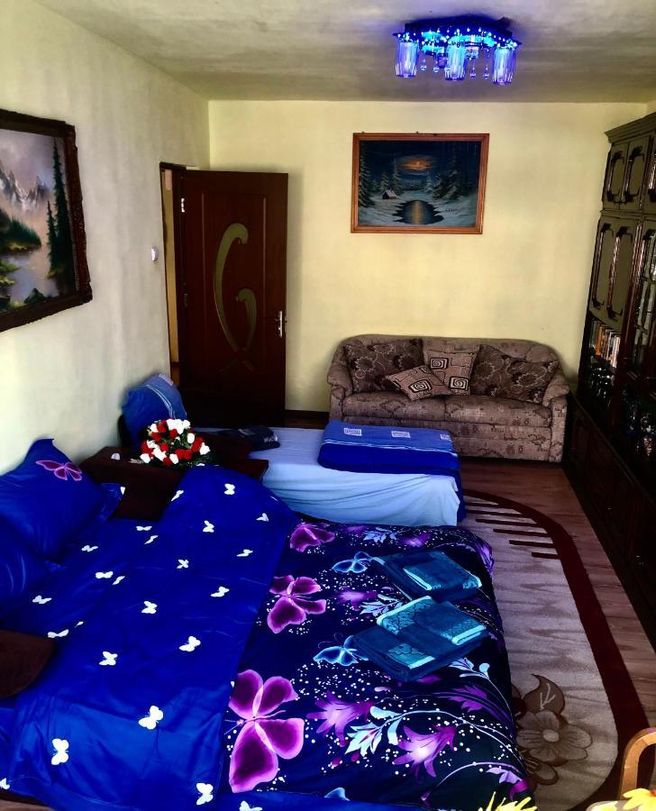 La Symo Apartament Straja Lupeni Lupeni  Extérieur photo