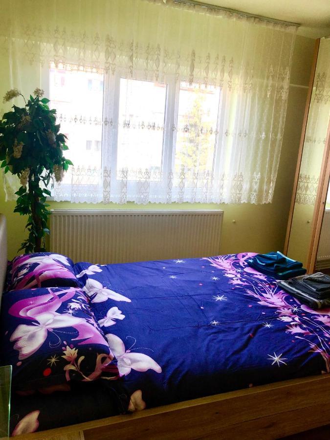 La Symo Apartament Straja Lupeni Lupeni  Extérieur photo