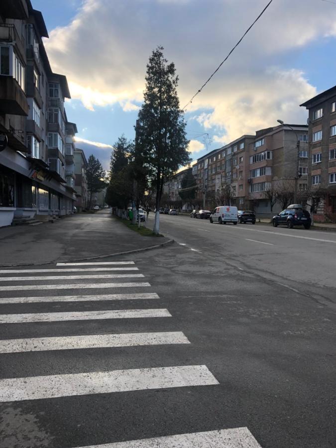 La Symo Apartament Straja Lupeni Lupeni  Extérieur photo