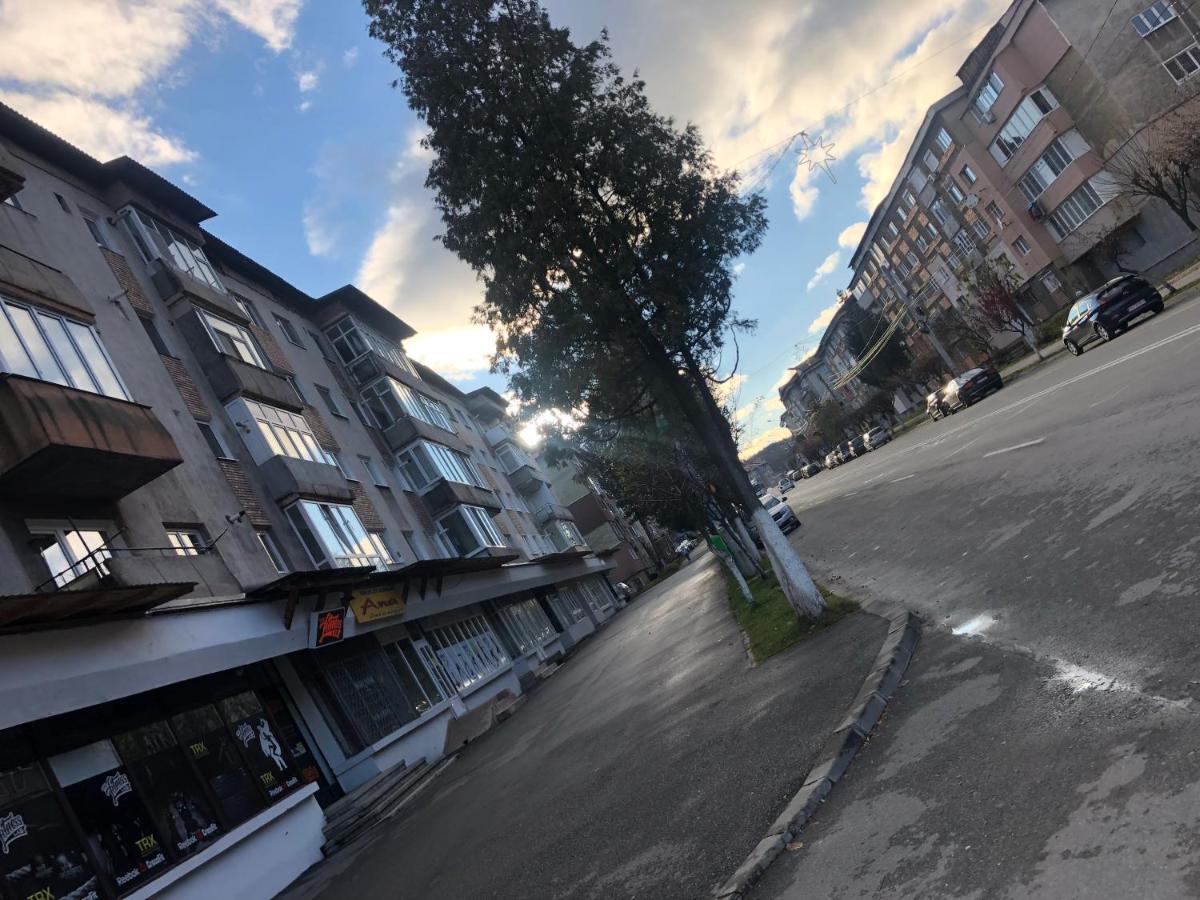 La Symo Apartament Straja Lupeni Lupeni  Extérieur photo